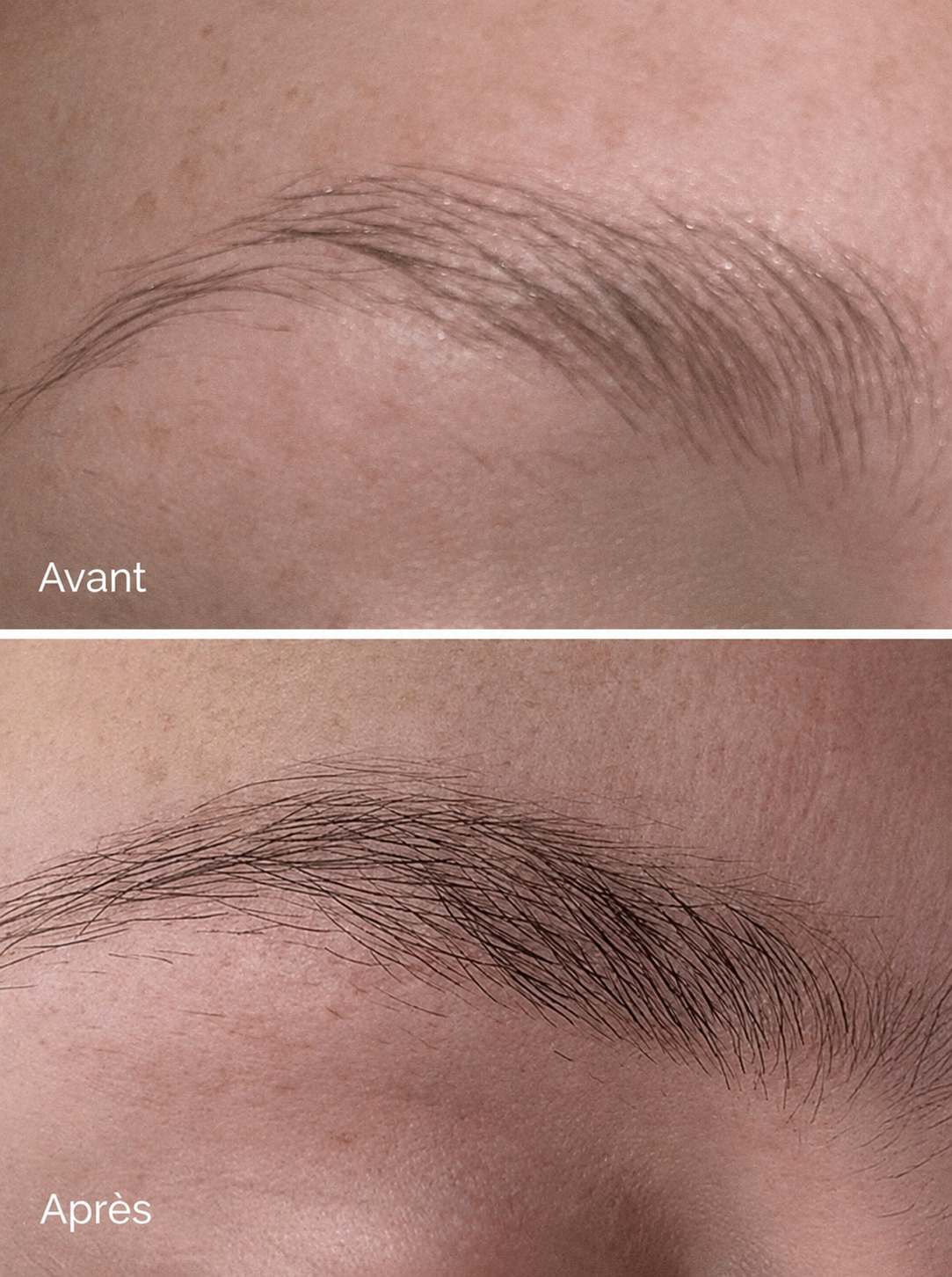 NAELYA Sérum Sourcils