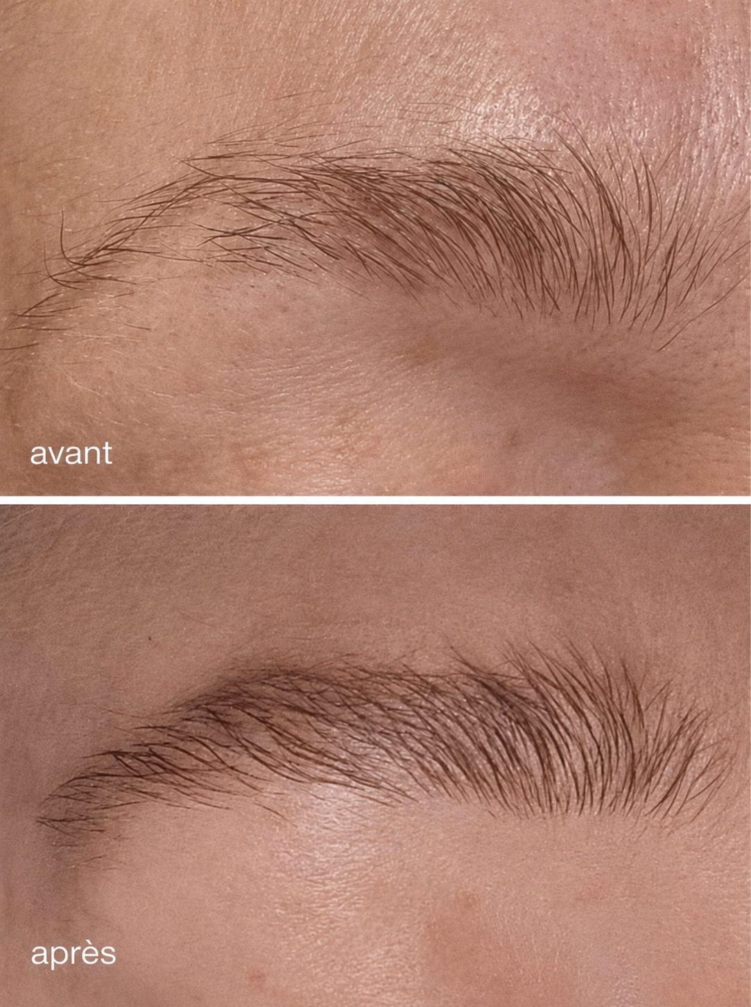 NAELYA Sérum Sourcils